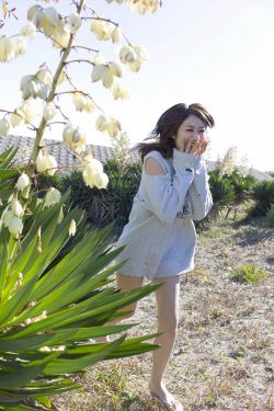 法证先锋6百度百科